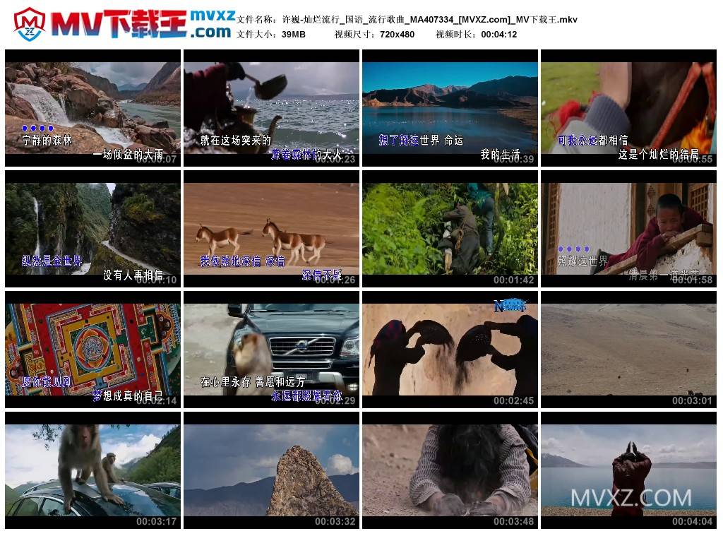 许巍-灿烂流行_国语_流行歌曲_MA407334